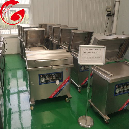 烤鸭小型真空包装机 龙邦食品机械公司